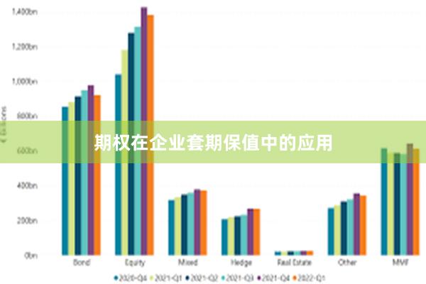 期权在企业套期保值中的应用