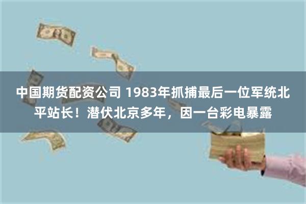 中国期货配资公司 1983年抓捕最后一位军统北平站长！潜伏北京多年，因一台彩电暴露