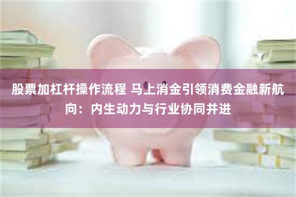 股票加杠杆操作流程 马上消金引领消费金融新航向：内生动力与行业协同并进