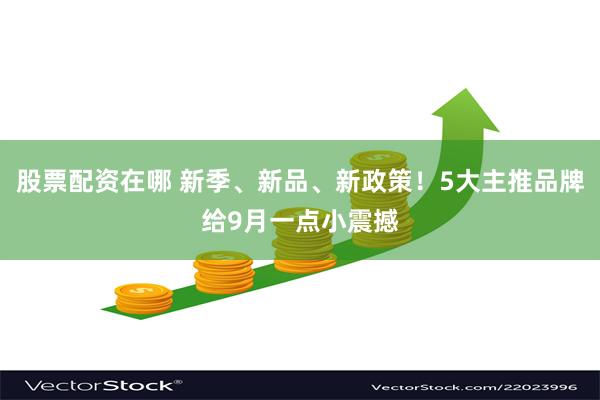 股票配资在哪 新季、新品、新政策！5大主推品牌给9月一点小震撼