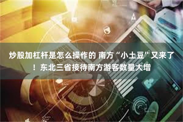 炒股加杠杆是怎么操作的 南方“小土豆”又来了！东北三省接待南方游客数量大增