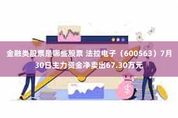 金融类股票是哪些股票 法拉电子（600563）7月30日主力资金净卖出67.30万元