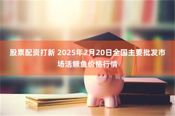 股票配资打新 2025年2月20日全国主要批发市场活鳜鱼价格行情