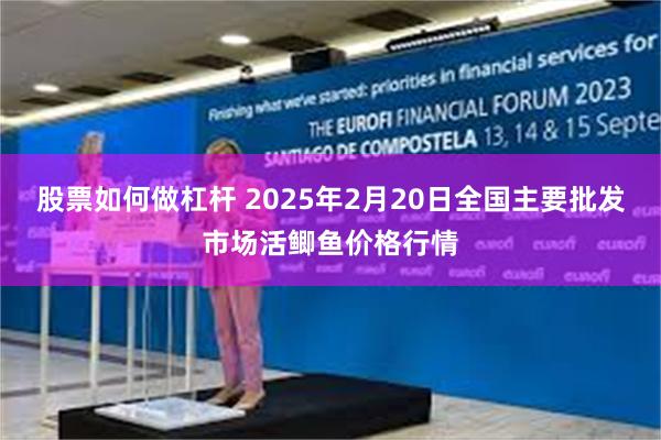 股票如何做杠杆 2025年2月20日全国主要批发市场活鲫鱼价格行情