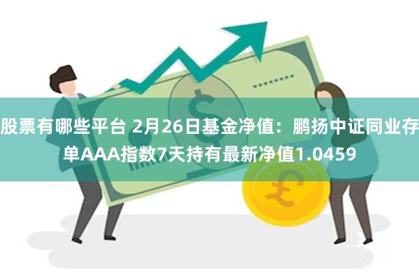 股票有哪些平台 2月26日基金净值：鹏扬中证同业存单AAA指数7天持有最新净值1.0459