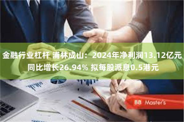 金融行业杠杆 浦林成山:2024年净利润13.12亿元 同比增长26.94% 拟每股派息0.5港元