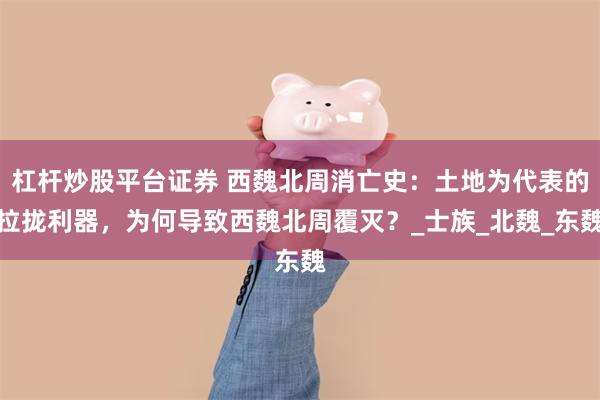 杠杆炒股平台证券 西魏北周消亡史:土地为代表的拉拢利器,为何导致西魏北周覆灭?_士族_北魏_东魏