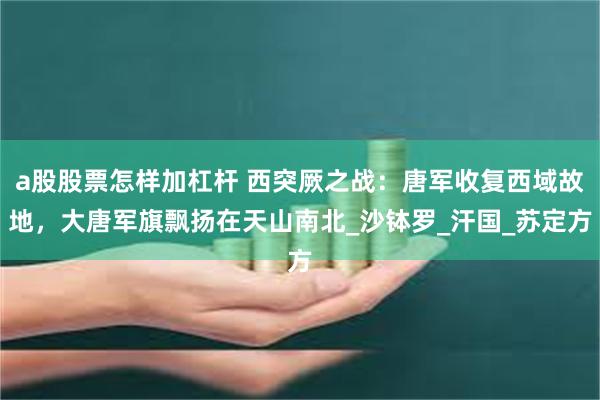 a股股票怎样加杠杆 西突厥之战:唐军收复西域故地,大唐军旗飘扬在天山南北_沙钵罗_汗国_苏定方